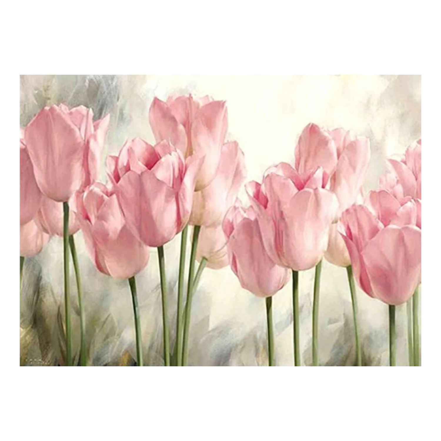 Flores, Tulipanes Rosas (60×45) Diamante Redondo – M&C